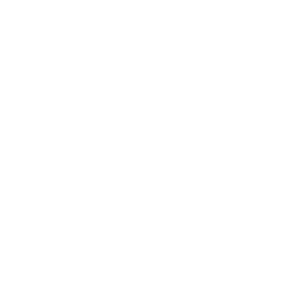 Contabilidade para Fonoaudiológos